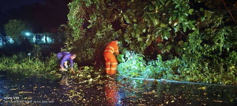 วันพฤหัสบดีที่ 16 ตุลาคม 2568 เวลา 18.40 น. สิบเอกปิยวัฒน์ วาริสาร นักป้องกันและบรรเทาสาธารณภัยชำนาญการ พร้อมเจ้าหน้าที่องค์การบริหารส่วนตำบลห้วยข่า ได้ออกปฏิบัติหน้าที่ตัดต้นไม้/กิ่งไม้ที่หักโค่นล้มกีดขวางการสัญจร เพื่อแก้ปัญหาและบรรเทาความเดือดร้อน